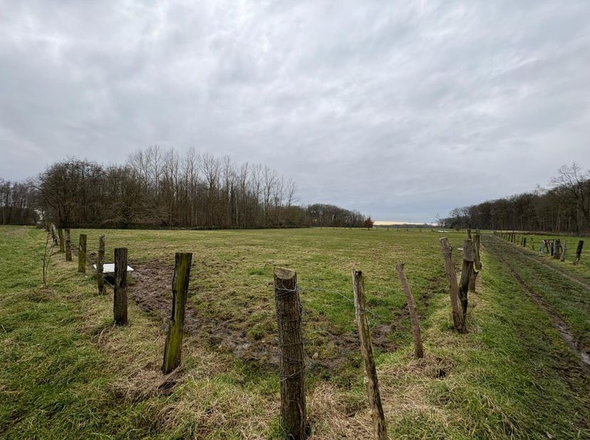 - Een perceel bouwland, gelegen 1e afd. KAMPENHOUT ter plaatse genaamd &quot;LANTERVELD&quot; gekadasteerd wijk D nr. 10/00 - P0000 met een kadastrale perceelop