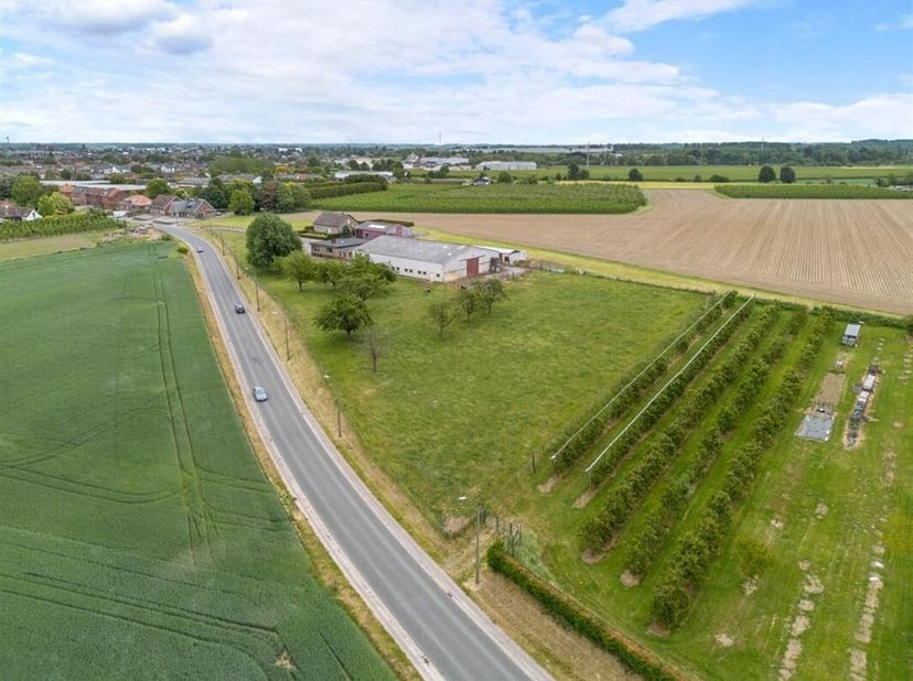 RUIME GEZINSWONING MET LOODS EN WEIDE OP 1,1 HECTARE IN HET LANDELIJKE SINT-TRUIDEN&lt;br /&gt;
Droom je van wonen in alle rust, met véél ruimte binnen én b