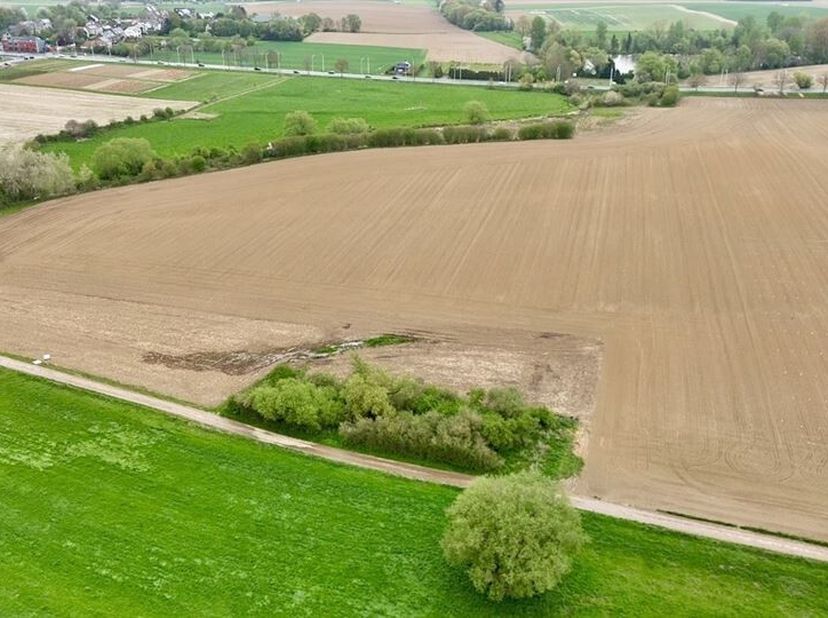Doe een bod vanaf 79.000€/ha -Mooi geheel van landbouwgrond met een totale oppervlakte van 5 ha 81 a 07 ca, inclusief ongeveer 35 are bos. Deze percel