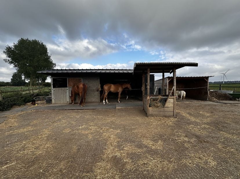Terrain à vendre
                    à 9120 Beveren-Waas