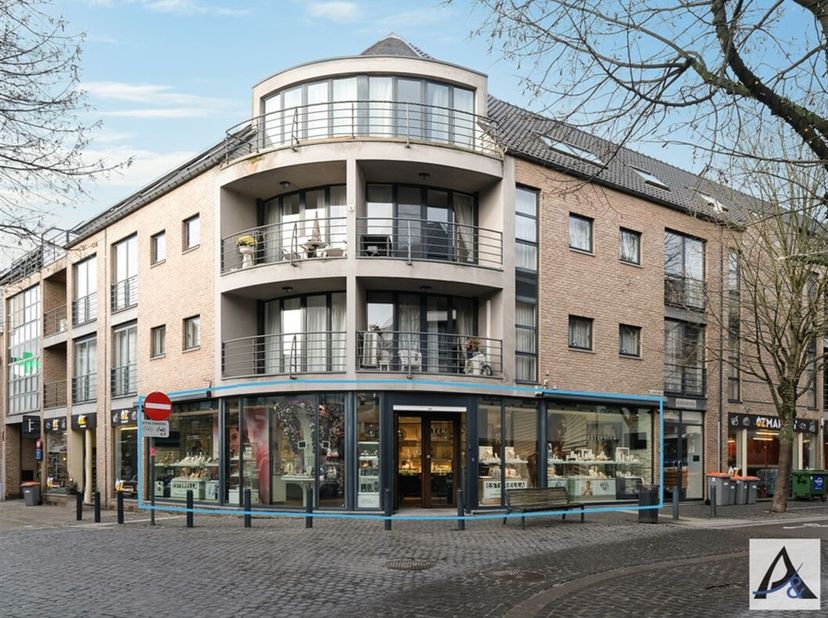 Bien professionnel à vendre
                    à 3740 Bilzen
