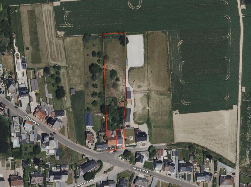 Verrassend royale woning met bijbouw en paardenweide, rustig en landelijk gelegen te Bilzen-Hees, op de grens met Veldwezelt. Unieke rustige ligging o