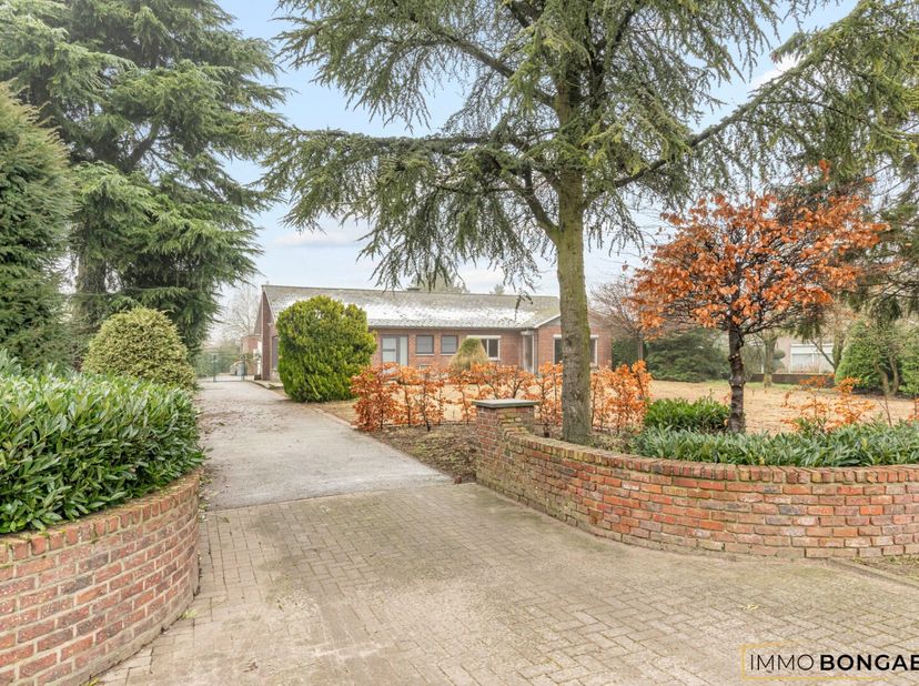 Deze gelijkvloerse woning is gelegen op een perceel van maar liefst 24a32ca in Meeuwen (Oudsbergen). De gemeente is qua oppervlakte de grootste van Li