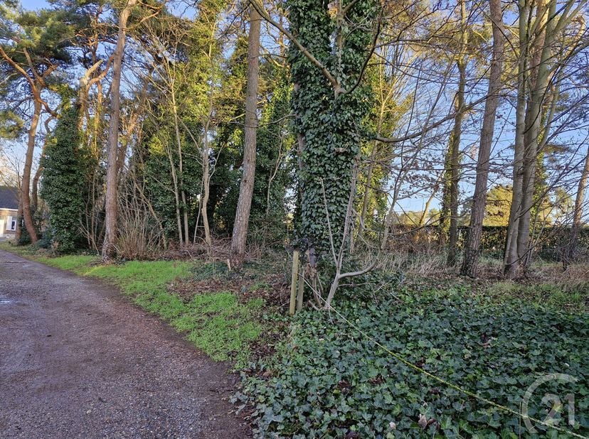 Terrain à vendre
                    à 3120 Tremelo