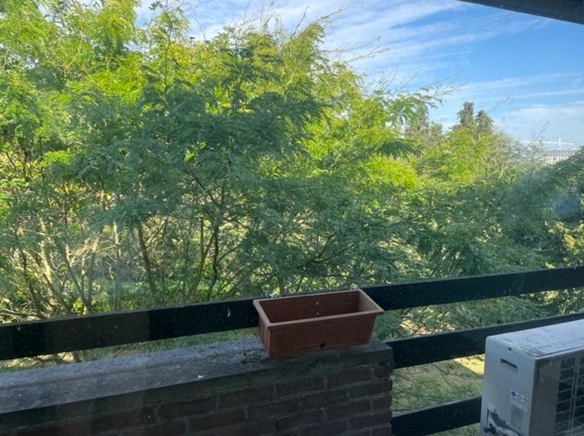 In een oase van rust in de Leuvense rand treft u Residentie Populierenhof, een residentie waar ruimte en groene vergezichten de boventoon voeren, maar