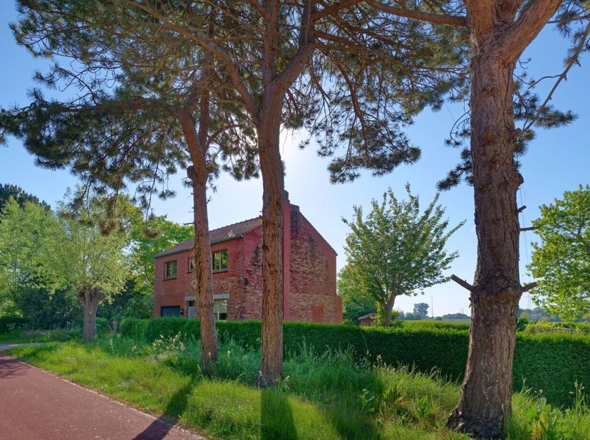 Te renoveren landelijke woning in het idyllische Wulpen. Living, inkom, badkamer, keuken, garage. Op het verdiep 4 slaapkamers. Bel Eric ook op zon-en