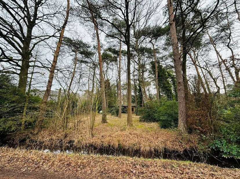 Terrain à vendre
                    à 2980 Zoersel