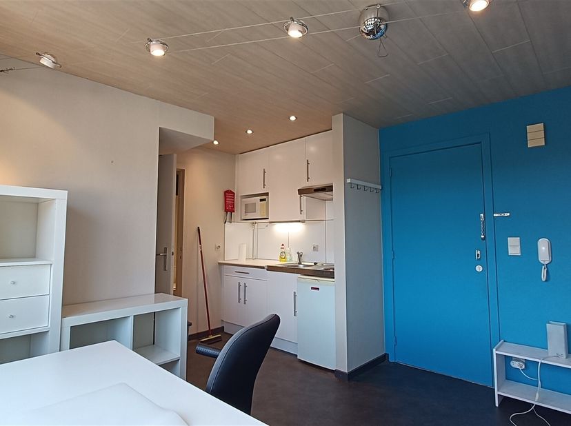 Op zoek naar een knusse plek in het hart van Leuven? Deze volledig gemeubelde studio is perfect gelegen en biedt alle comfort voor een alleenstaande h