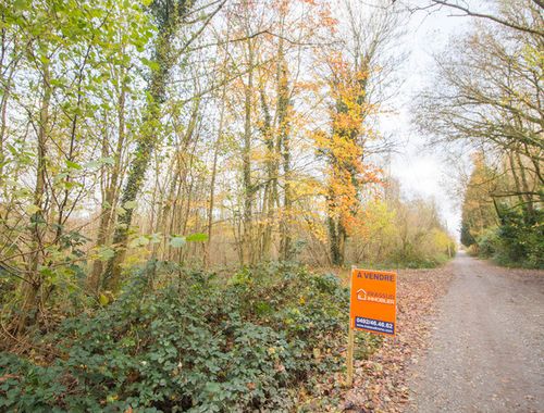                                         Terrain à vendre à Gourdinne, € 99.000

