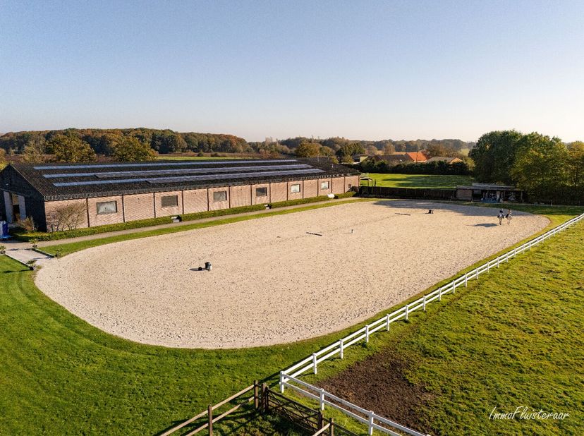 Op zoek naar een plaats om uw paarden te kunnen trainen en opleiden? Deze paardenaccommodatie biedt alles om de paardensport optimaal uit te oefenen.&lt;