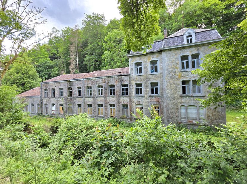 Bâtiment historique en pierres du pays à rénover, situé sur une parcelle de 5 285 m² à seulement 500 mètres du centre de Durbuy vieille ville. Ce bien