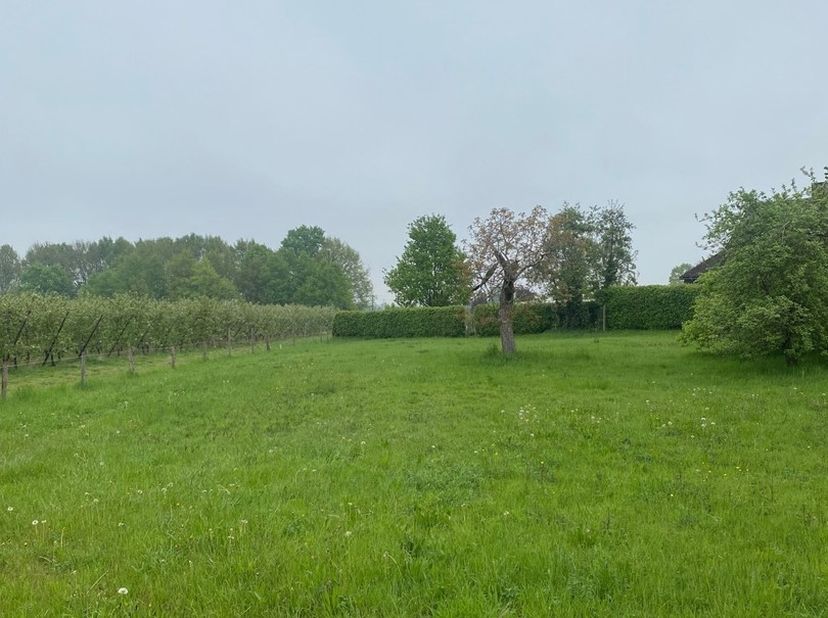 Prachtig perceel op een rustige locatie in de groene rand van Herk-de-Stad.&lt;br /&gt;
Realiseer hier je bouwdroom op een ruim perceel van bijna 10are groo