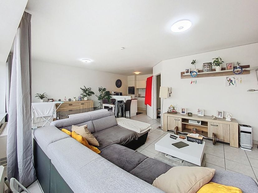 Disposition:&lt;br /&gt;
- hall d&#039;entrée spacieux&lt;br /&gt;
- toilettes séparées pour les invités&lt;br /&gt;
- espace de vie lumineux&lt;br /&gt;
- cuisine fonctionnelle&lt;b