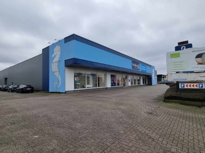 Showroom avec une visibilité commerciale fantastique depuis l&#039;autoroute A12 ! Le bâtiment avec une très grande largeur de façade a une surface de 1,95