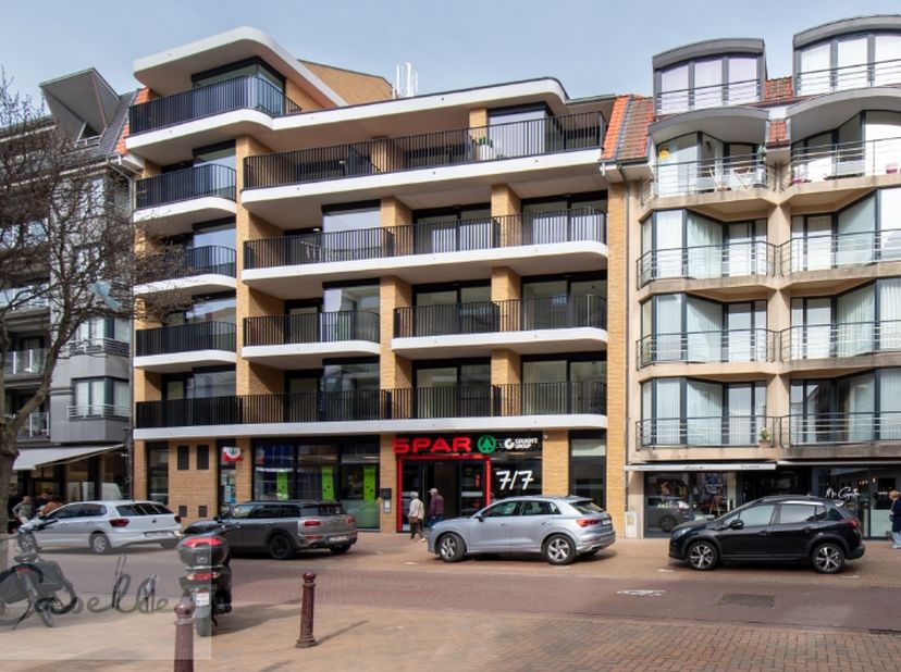 Appartement te koop
                    in 8420 Wenduine