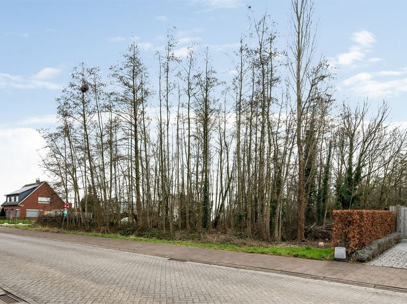 Terrain à vendre
                    à 2220 Heist-op-den-Berg