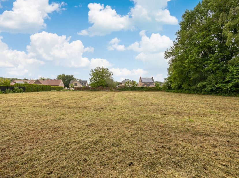 Deze prachtige en zeer rustig gelegen bouwgrond van 25a30ca is ideaal voor het bouwen van een ruime villa of gezinswoning. Dit unieke perceel is achte
