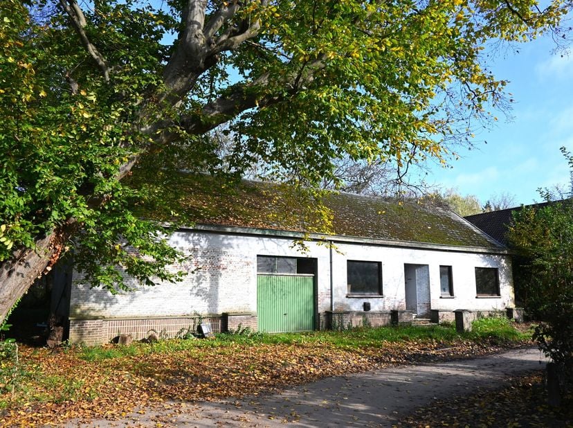 Deze charmante woning in Werchter biedt een unieke renovatiekans op een betoverend perceel van 69a99ca, omringd door groen en bos. Ideaal voor wie rus