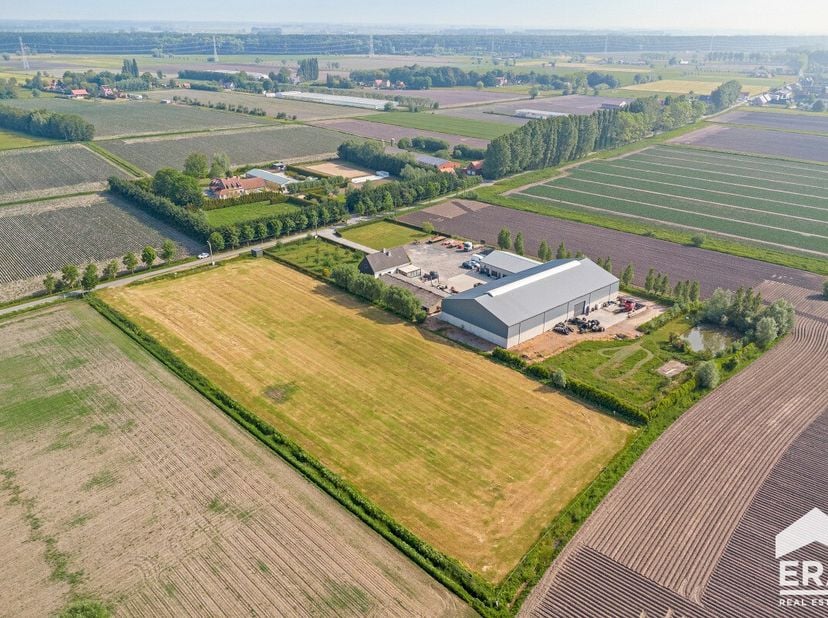 Bien professionnel à vendre
                    à 8340 Moerkerke