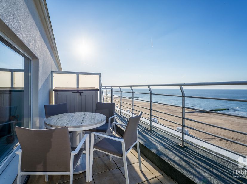 Bijzonder kwaliteitsvol vernieuwde studio met panoramisch zeezicht, gelegen in de pas gerenoveerde zeedijk-residentie &quot;California&quot;. Deze verrassend ru