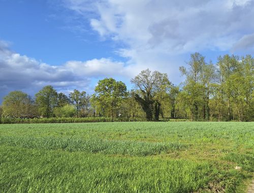                                         Landbouwgrond te koop in Opitter, € 29.250
