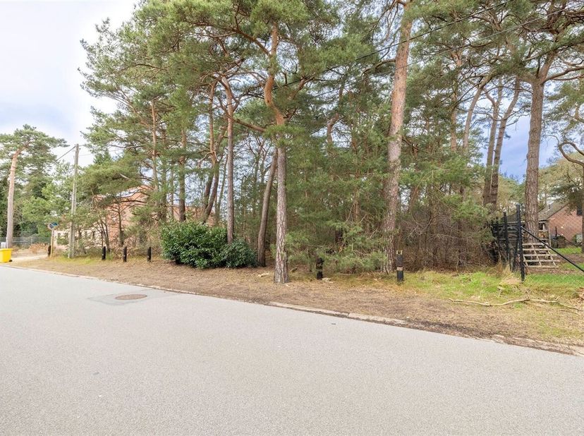 Terrain à vendre
                    à 2460 Lichtaart
