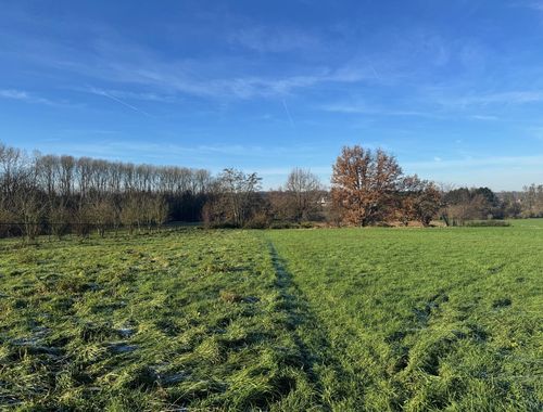                                         Bouwgrond te koop in Binkom, € 345.000
