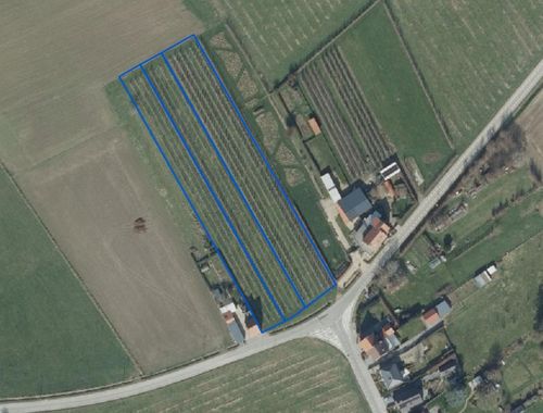                                         Landbouwgrond te koop in Bunsbeek, € 89.000
