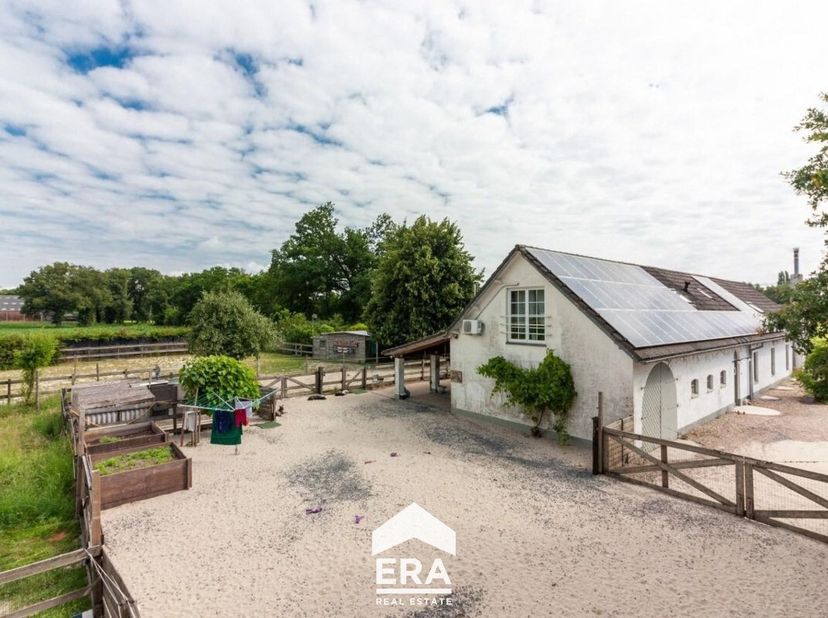 Deze charmante hoeve in Peer biedt een unieke combinatie van rust en bereikbaarheid, gelegen te midden van groene weilanden en op wandelafstand van pr