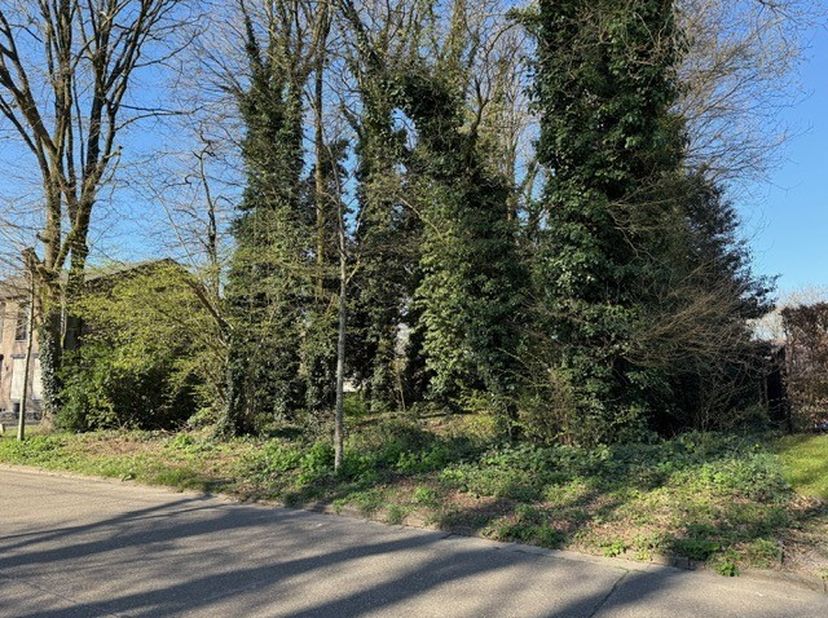 De bouwgrond is geschikt voor een open bebouwing.&lt;br /&gt;
Heeft een straatbreedte van 20m (en diepte van 35m).&lt;br /&gt;
Het is een mooi, rechthoekig percee