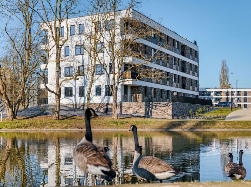 JAMBES  Dans un écrin de verdure, bel appartement contemporain (2CH/1SDB) de 94,50 m² situé au rez-de-chaussée de la résidence Â ARTEMIS Â. Il se comp