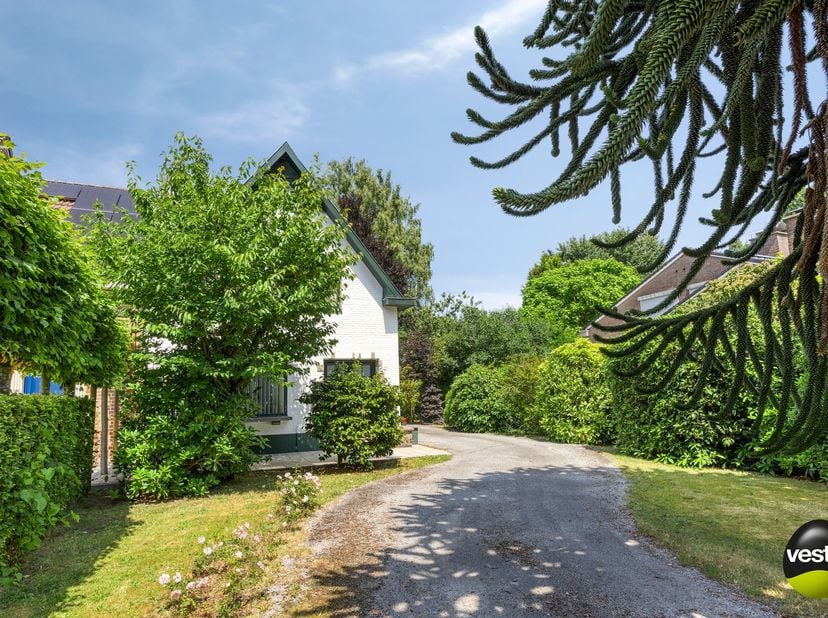 Gezinsvriendelijke halfopen woning met ruime tuin en losstaande garage in gewilde buurt van Kiewit – Hasselt&lt;br /&gt;
&lt;br /&gt;
Welkom op Schrijbroekstraat