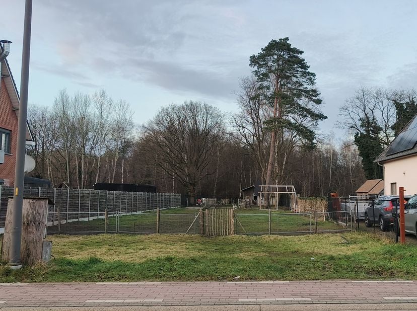 Deze mooie bouwgrond van 16 are heeft een uitstekende ligging, op korte afstand van het centrum van Zolder en vlakbij de oprit van snelwegen E313 en E