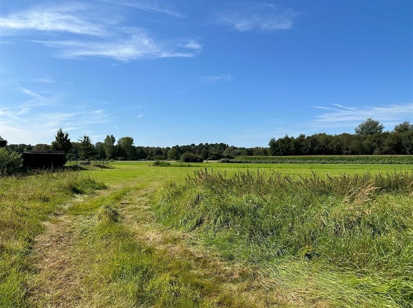 Dit betreft een mooi perceel bouwgrond van 972m² (lot 4 op gepubliceerd opmetingsplan) + een onverdeeld aandeel in het perceel achtergrond (lot 5 op g