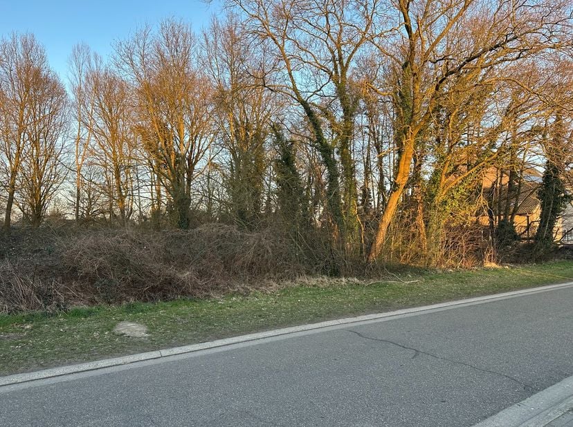 Een perceel grond van 18a 17ca, gelegen in een mooie en rustige buurt, kort bij belangrijke verbindingswegen naar Hasselt en Diepenbeek.&lt;br /&gt;
&lt;br /&gt;
