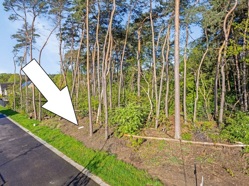Aan de Tulpenstraat / Krokussenstraat in Mechelen-aan-de-Maas gelegen OPEN bouwplaats van 797 m²  (= 7a 97ca) groot. Het perceel is 16 m breed aan de