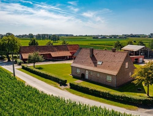                             Ferme à vendre à Kruishoutem
