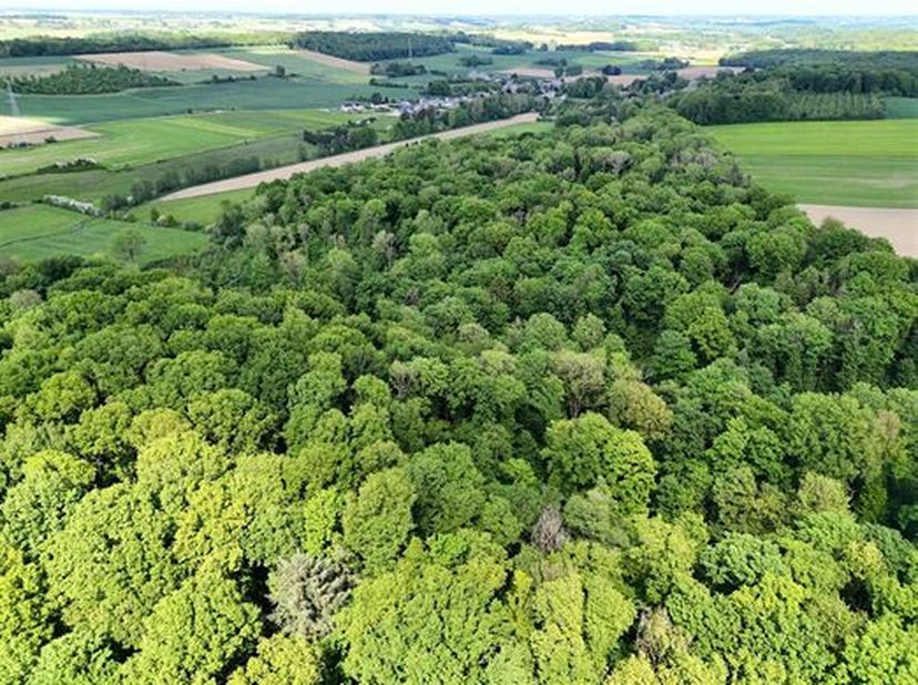 Très belle propriété forestière et agricole dune contenance de près de 20 ha, très bien entretenue.&lt;br /&gt;
Elle est composée dun bois certifié PEFC dun