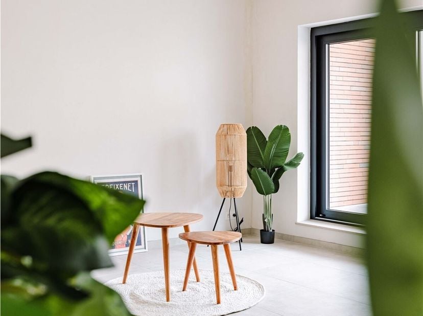 Appartement à vendre
                    à 9100 Sint-Niklaas