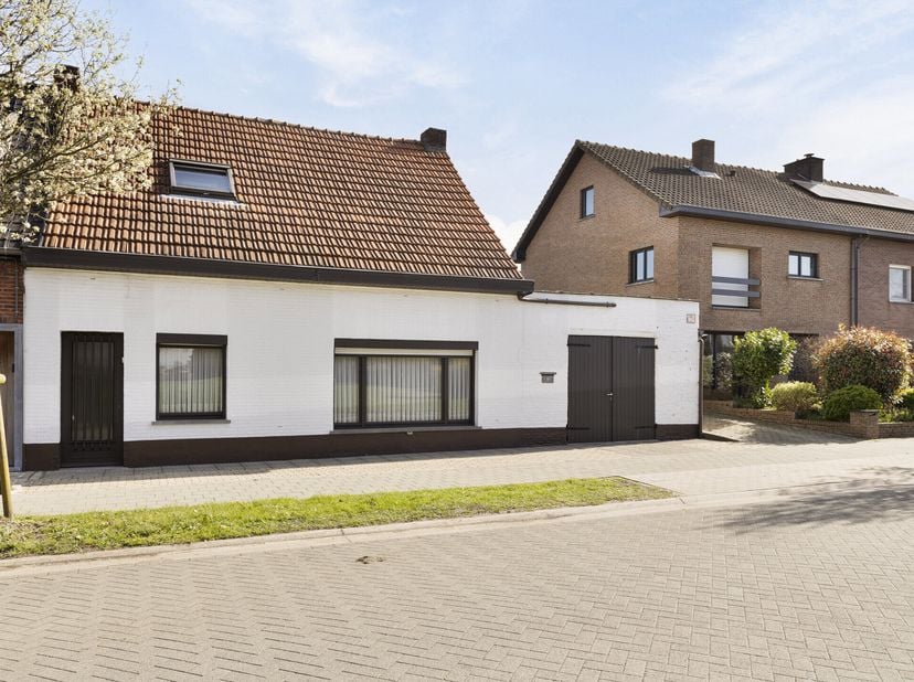 Maison à vendre
                    à 2360 Oud-Turnhout