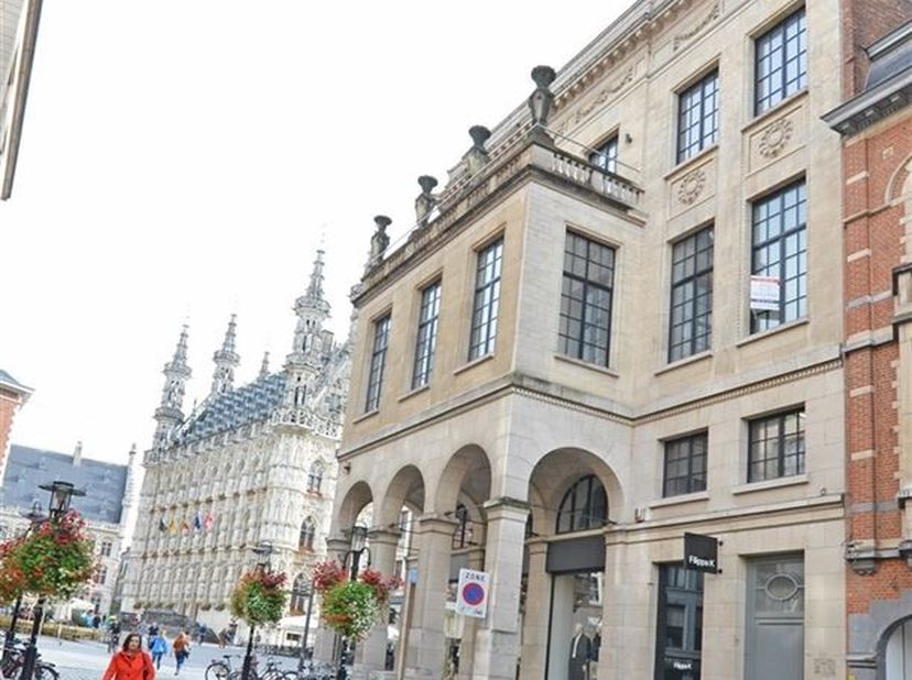 Dit appartement is gelegen op het derde en hoogste verdiep van een totaal gerenoveerd pand in hartje Leuven. Het omvat een inkomhal met vestiaire, een