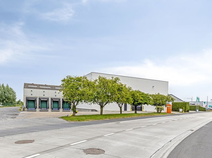 Logistiek magazijn te huur op de industriezone te Maldegem/Adegem. Vlotte bereikbaarheid van A11-E40. via N44 en N49&lt;br /&gt;
Indeling:&lt;br /&gt;
- Loods (80