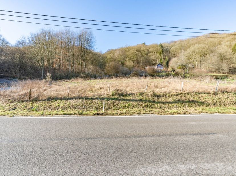 Lagence ERA B-LUX a le plaisir de vous présenter ce terrain à bâtir situé sur la route entre Hotton et La Roche-en-Ardenne.Avec une superficie de près
