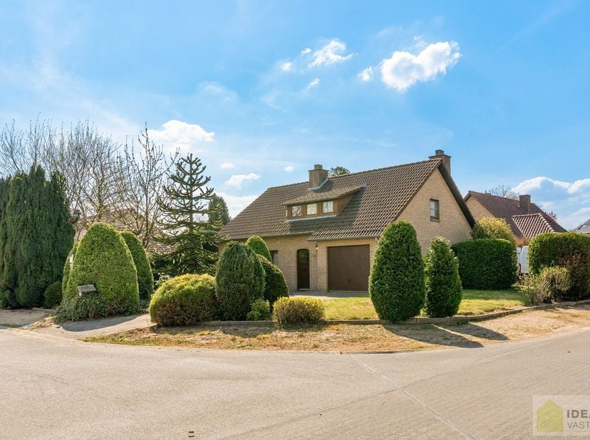 Maison à vendre
                    à 3930 Hamont