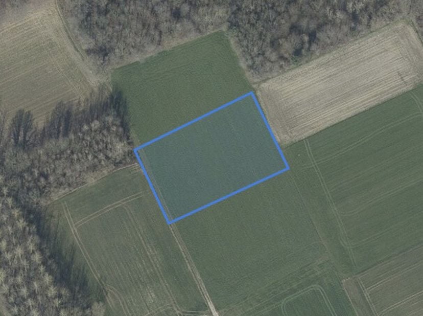 PERCEEL LANDBOUWGROND &lt;br /&gt;
 &lt;br /&gt;
Landbouwgrond gelegen Hoge Langebos, langs Akrenbos, gekadastreerd sectie E, nummer 0662H3P0000, met een oppervla