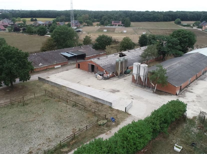 Maison à vendre
                    à 3670 Gruitrode