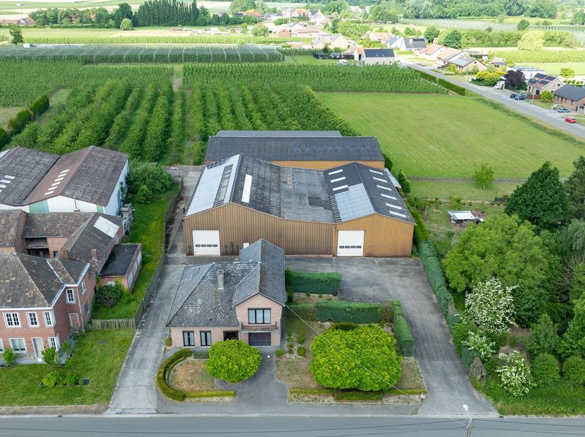 Bien professionnel à vendre
                    à 3570 Alken