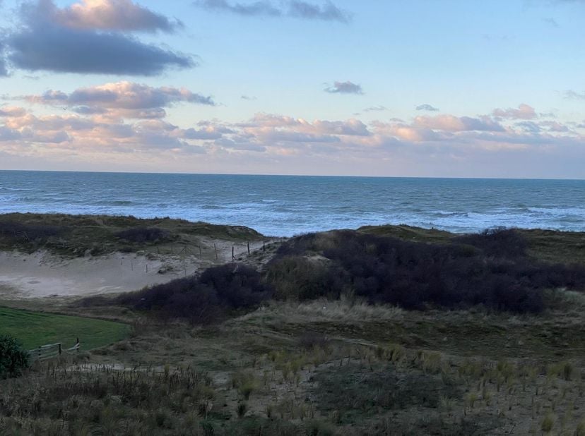 Droomt u ervan om elke dag wakker te worden met zicht op zee, strand en duinen?&lt;br /&gt;
Dan is Duinenzee de ideale haven. In de residentie met luxueuze