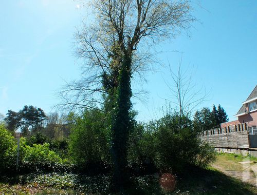                                         Terrain à bâtir à vendre à Lommel, € 160.000
