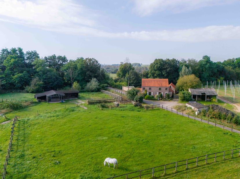 Weide met paardenstallen te koop 1,4 hectare